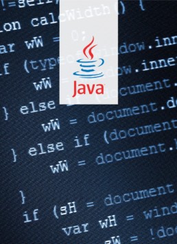 Java base e avanzato